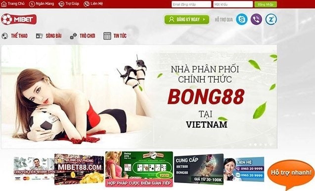Giao diện hiện đại, chuyên nghiệp