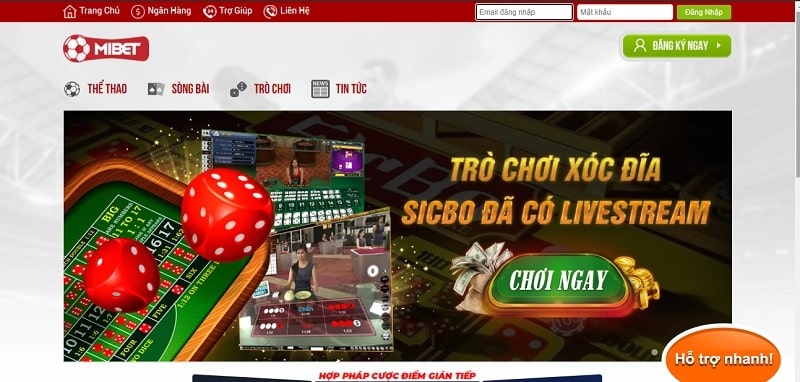 Chính sách chăm sóc khách hàng chuyên nghiệp, tận tâm, tận tình