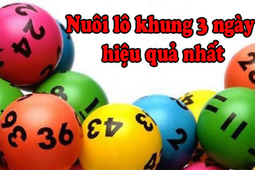 Phương pháp nuôi lô khung 3 ngày chuẩn, chính xác tuyệt đối