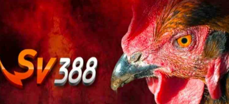 SV388 – Link truy cập vào SV388 mới nhất