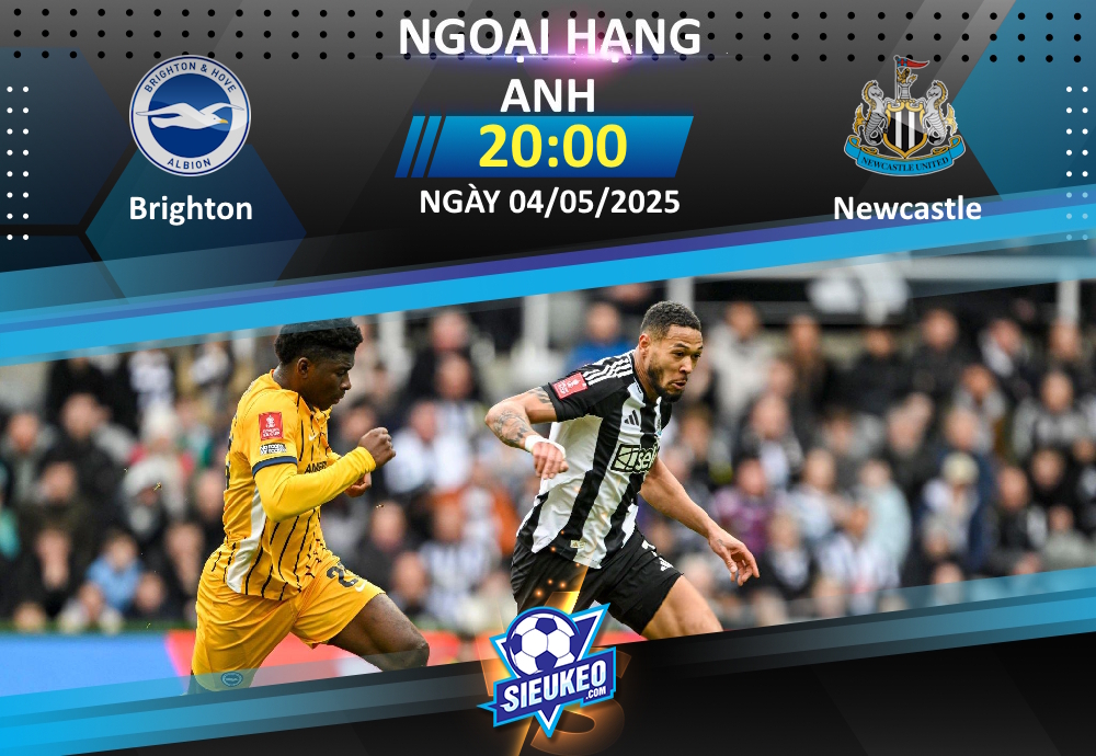 Soi kèo bóng đá Brighton vs Newcastle 20h00 ngày 04/05/2025: Kẻ ngáng đường